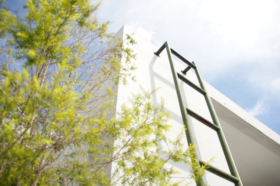Career Progression: How to Plan Your Next Move in Your Industry